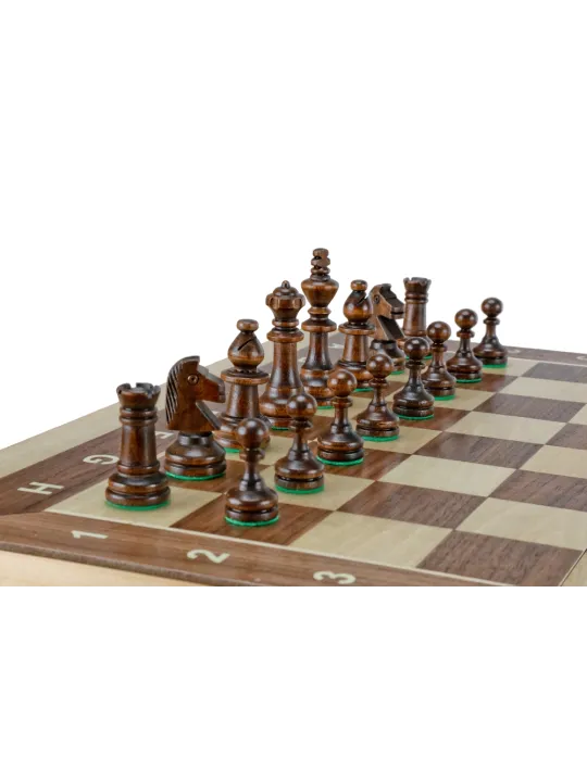 Game Senator - Chess + Checkers + Backgammon