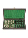 Chess Magnetic AG