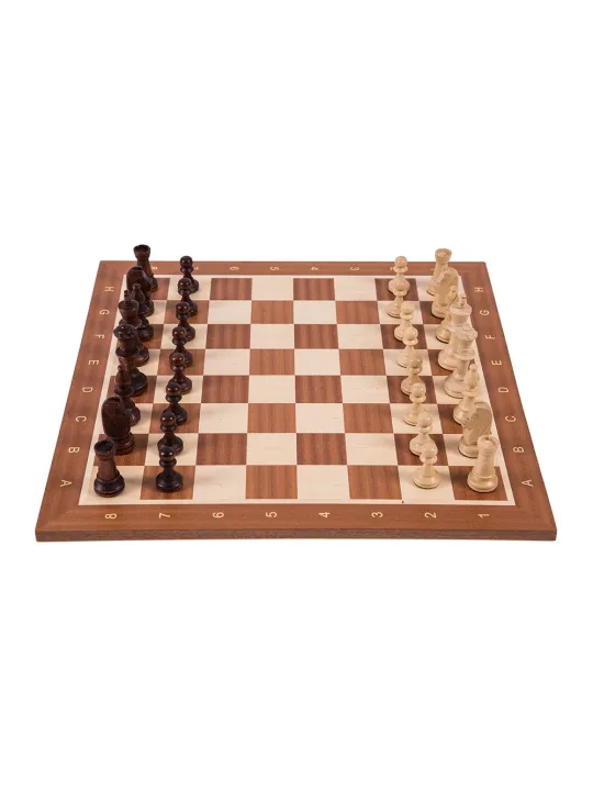 Jeu d'echecs professionnel n ° 5 - Europe