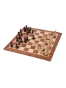 Jeu d'echecs professionnel n ° 5 - Europe