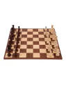 Jeu d'echecs professionnel n ° 6 - Europe