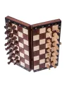 Chess Magnetic