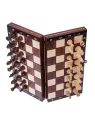 Schach Magnetisch